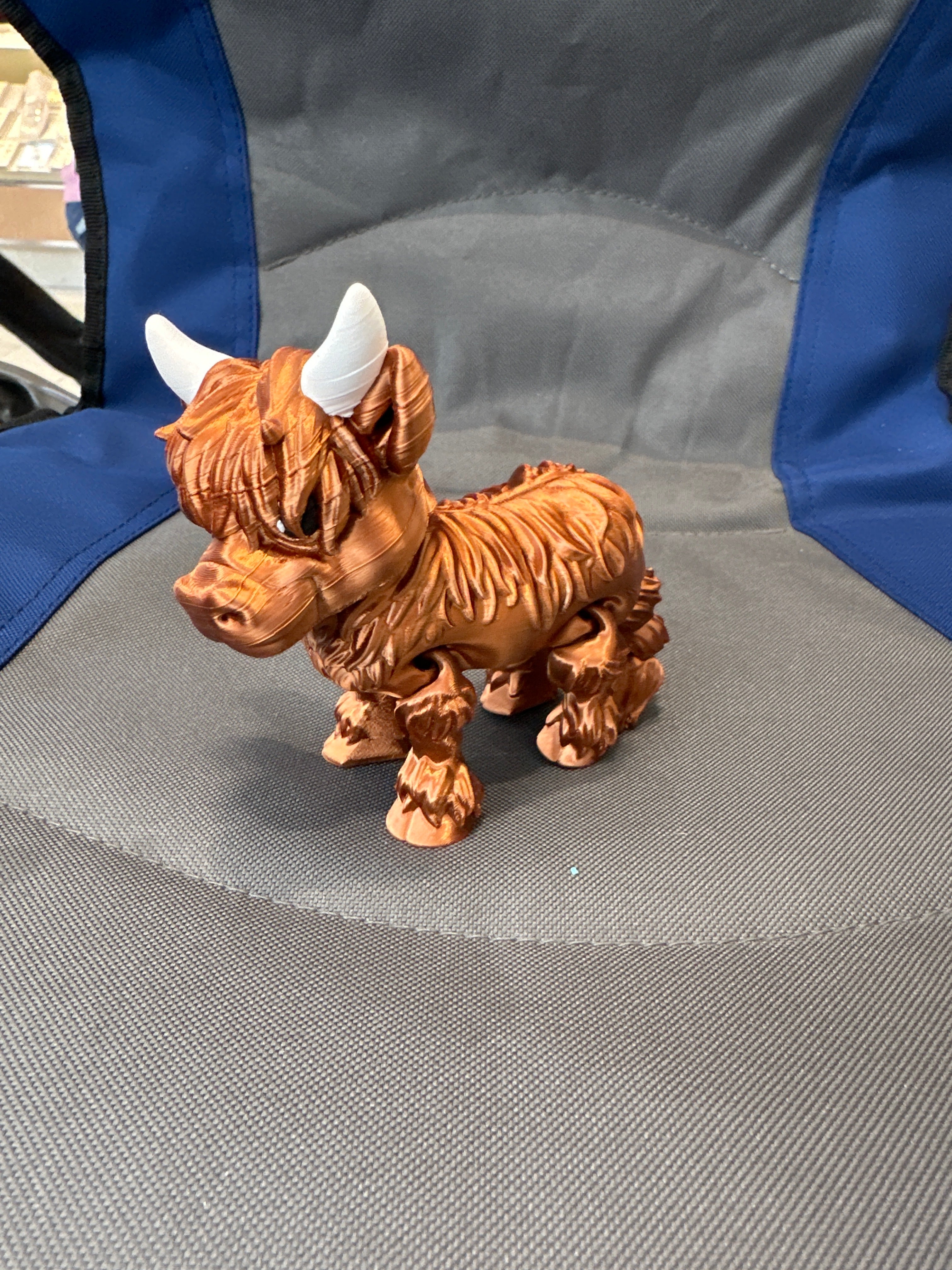 Highland Cow