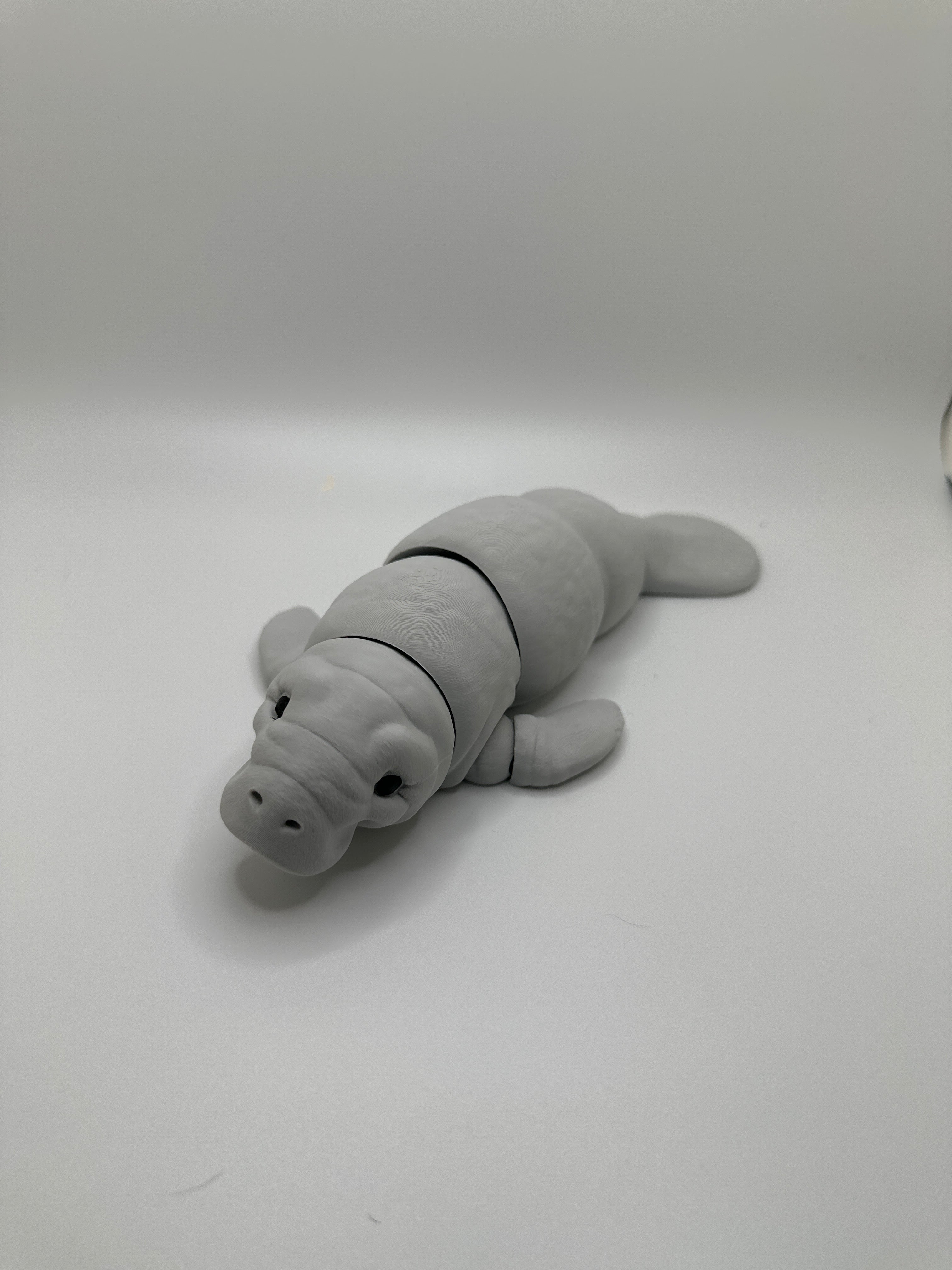 Manatee