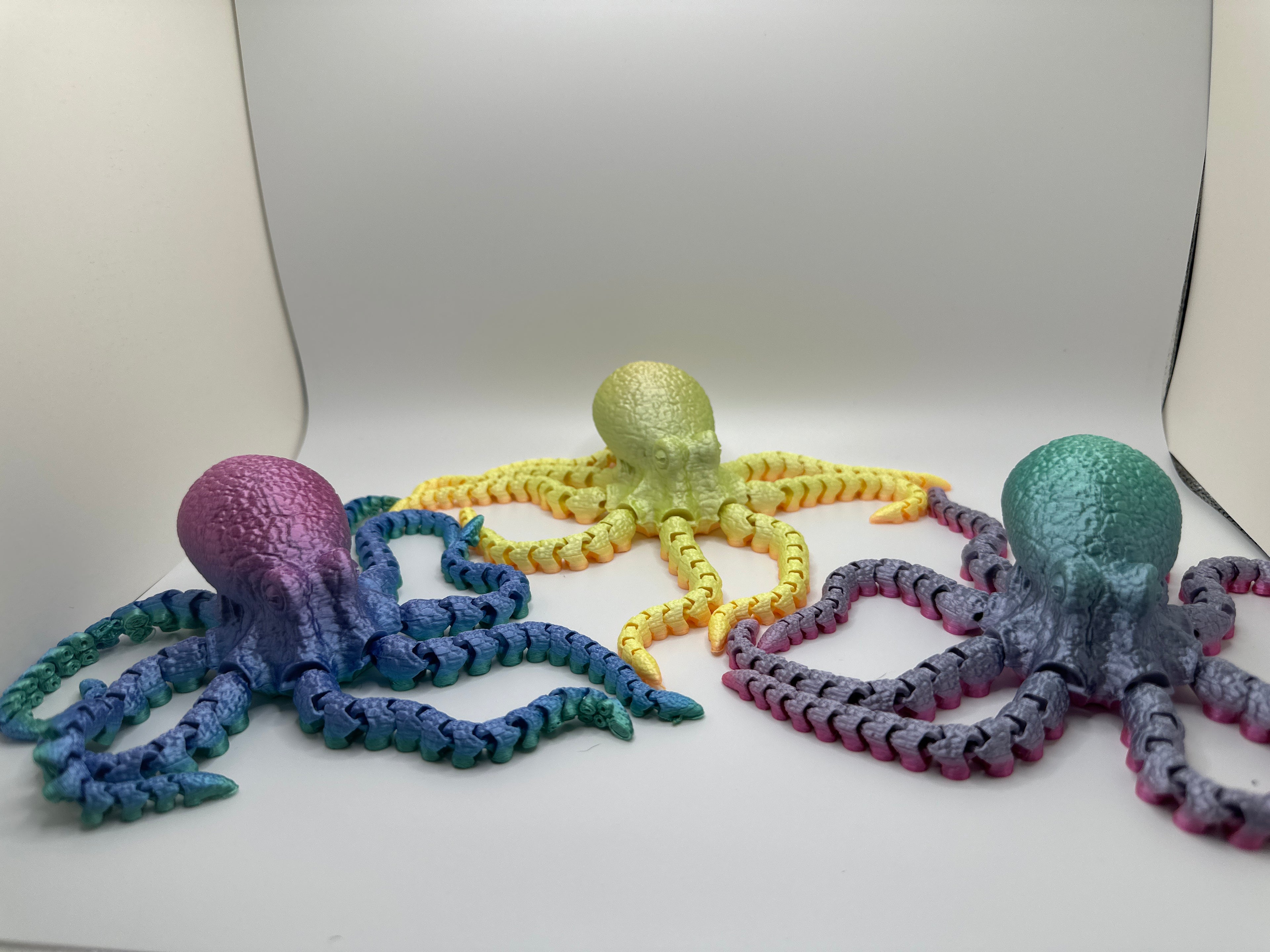 Octopus