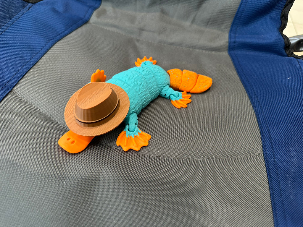 Pierre the Platypus